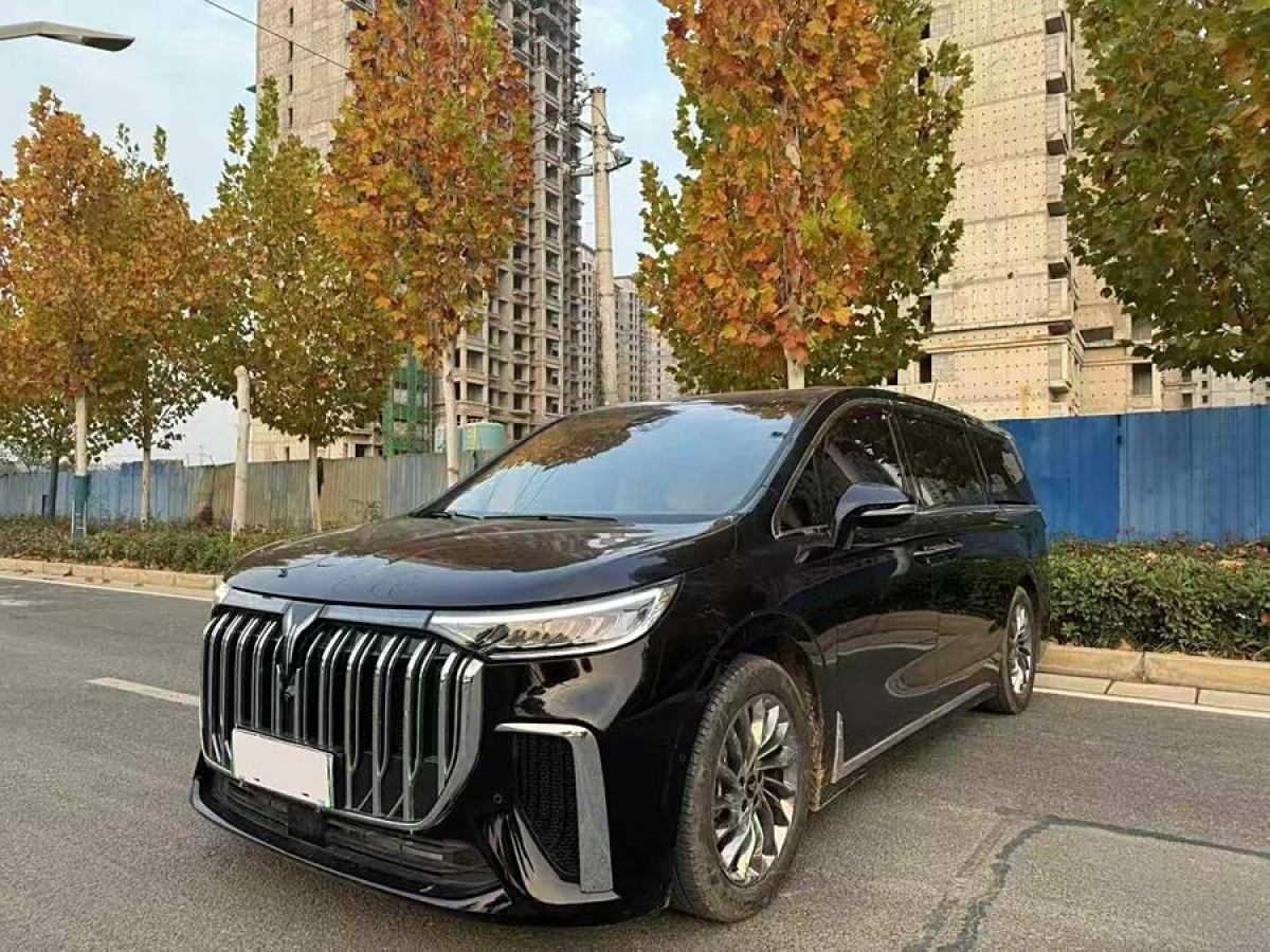 嵐圖 夢想家  2024款 PHEV 超長續(xù)航旗艦版圖片