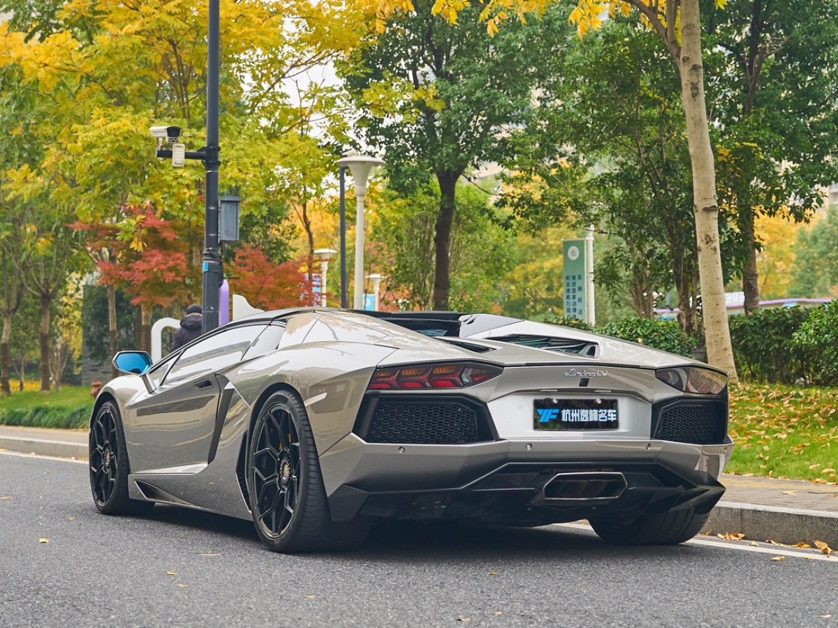 蘭博基尼 Aventador  2013款 LP 700-4 Roadster圖片