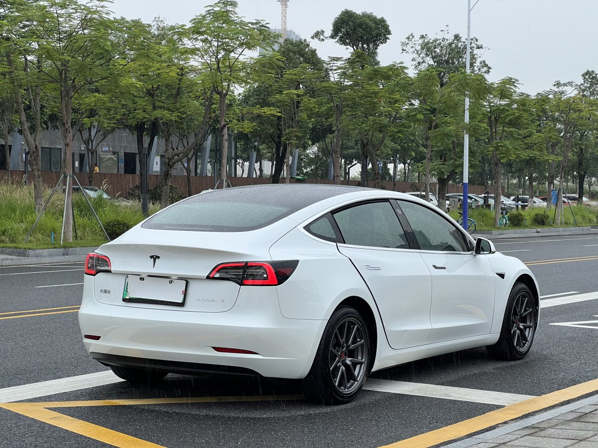 特斯拉 Model 3  2019款 標(biāo)準(zhǔn)續(xù)航后驅(qū)升級(jí)版圖片