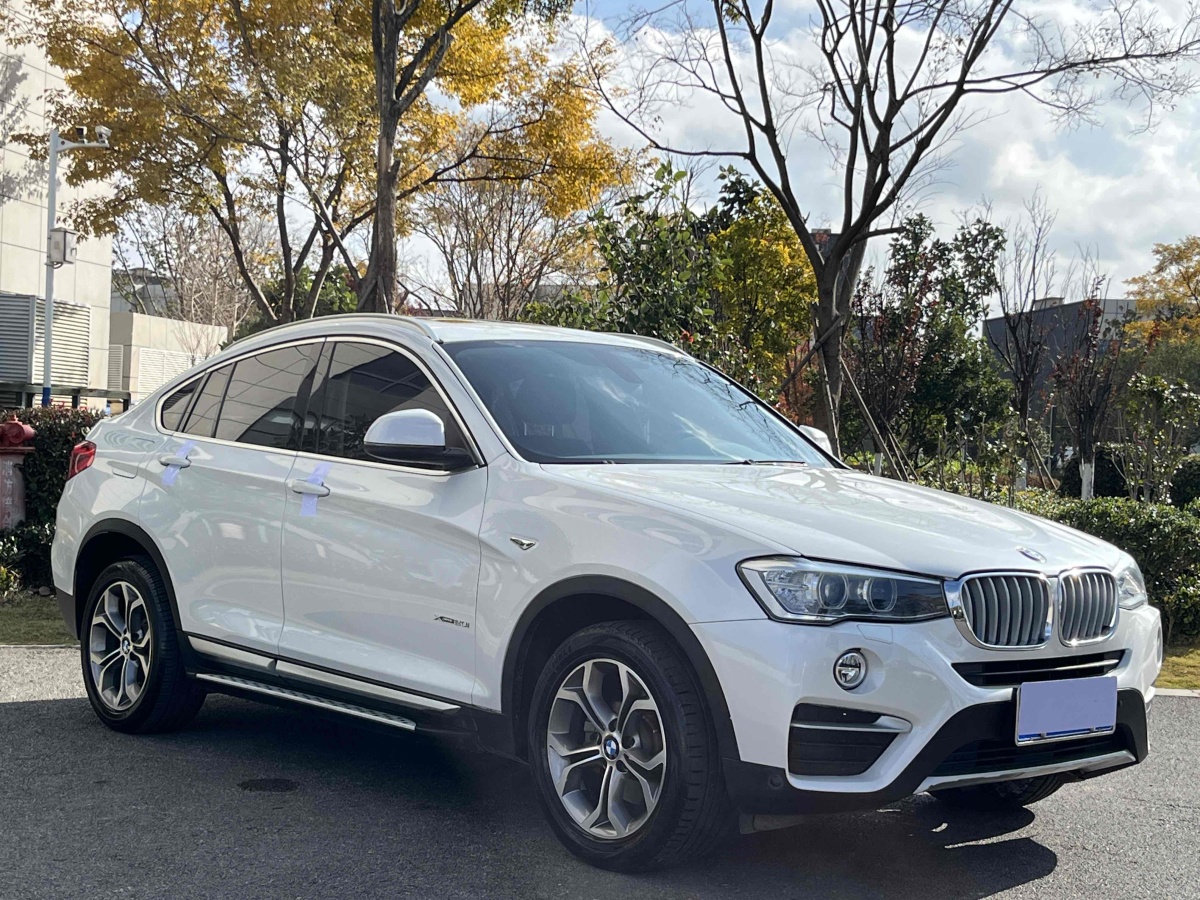 寶馬 寶馬X4  2014款 xDrive20i X設(shè)計(jì)套裝圖片