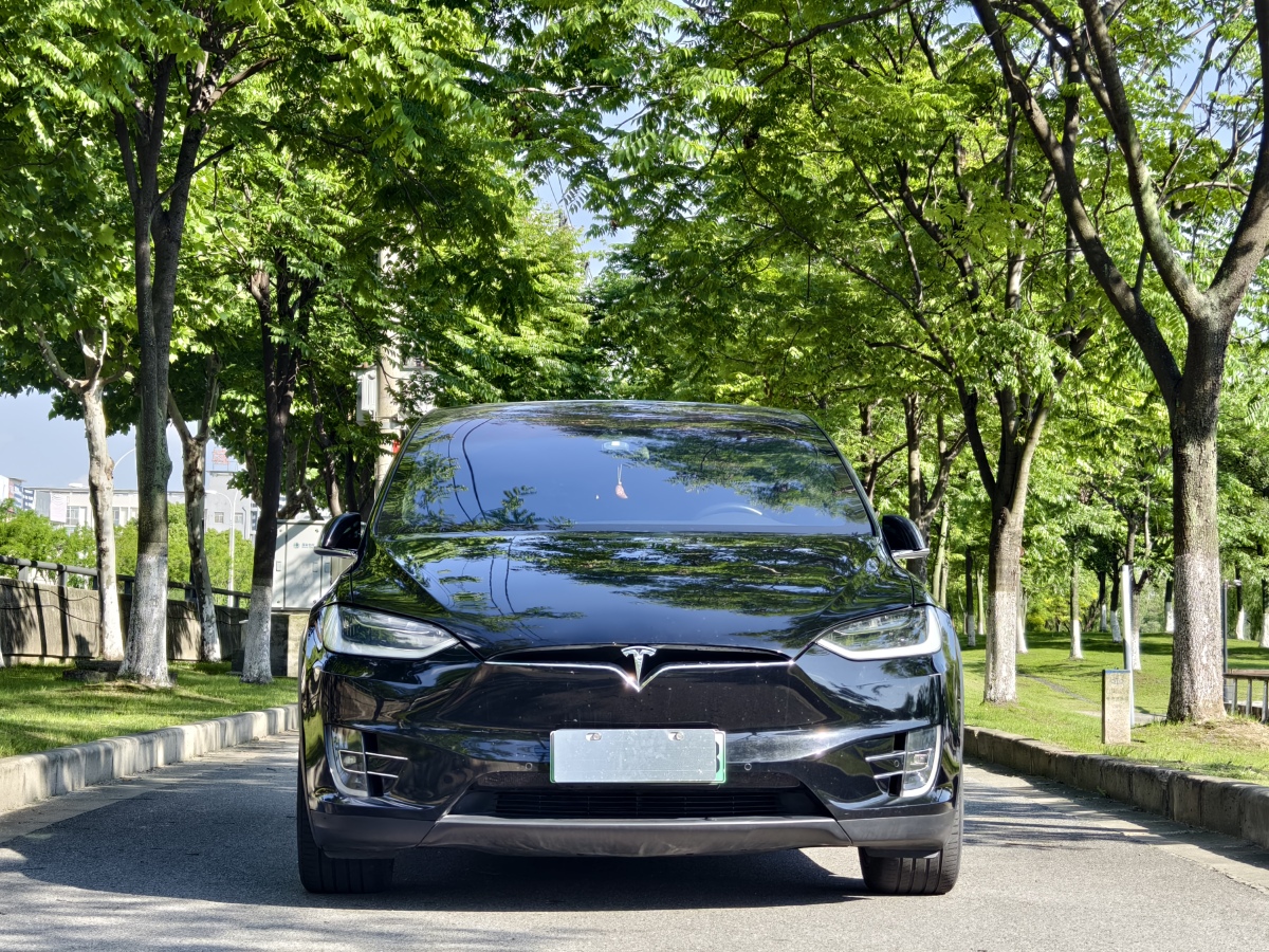 特斯拉 Model X  2016款 Model X 75D图片