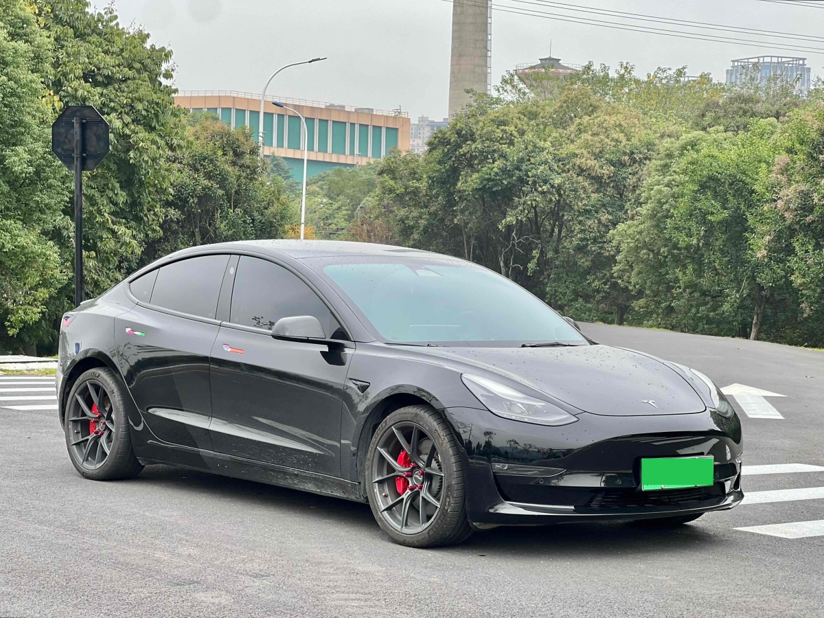 特斯拉 Model 3  2019款 Performance高性能全輪驅(qū)動(dòng)版圖片