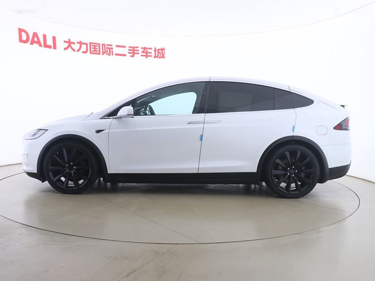 特斯拉 Model X  2017款 Model X 100D 長(zhǎng)續(xù)航版圖片