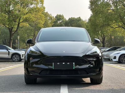 2022年11月 特斯拉 Model Y 后轮驱动版图片