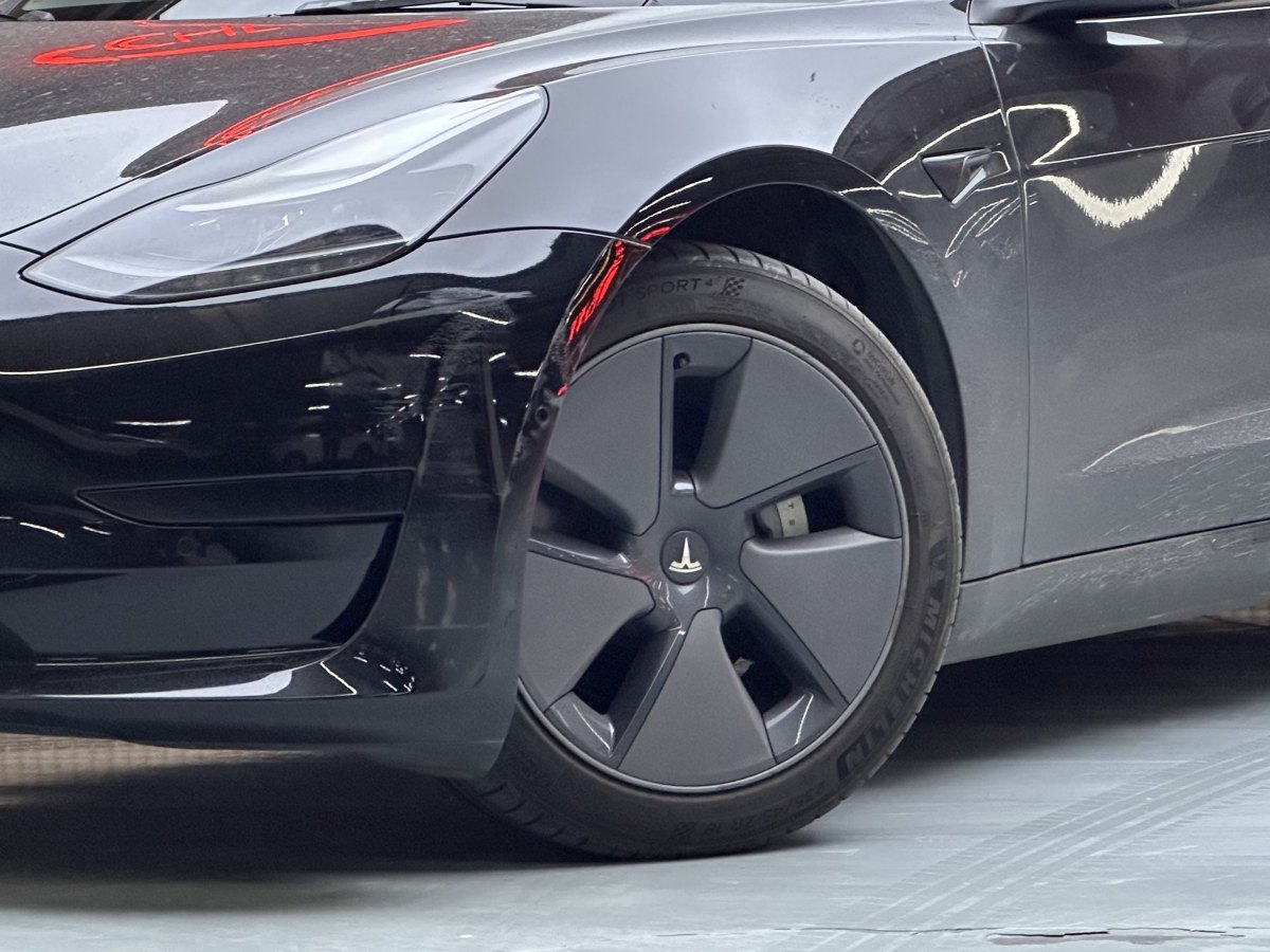 特斯拉 Model 3  2019款 標(biāo)準(zhǔn)續(xù)航后驅(qū)升級版圖片