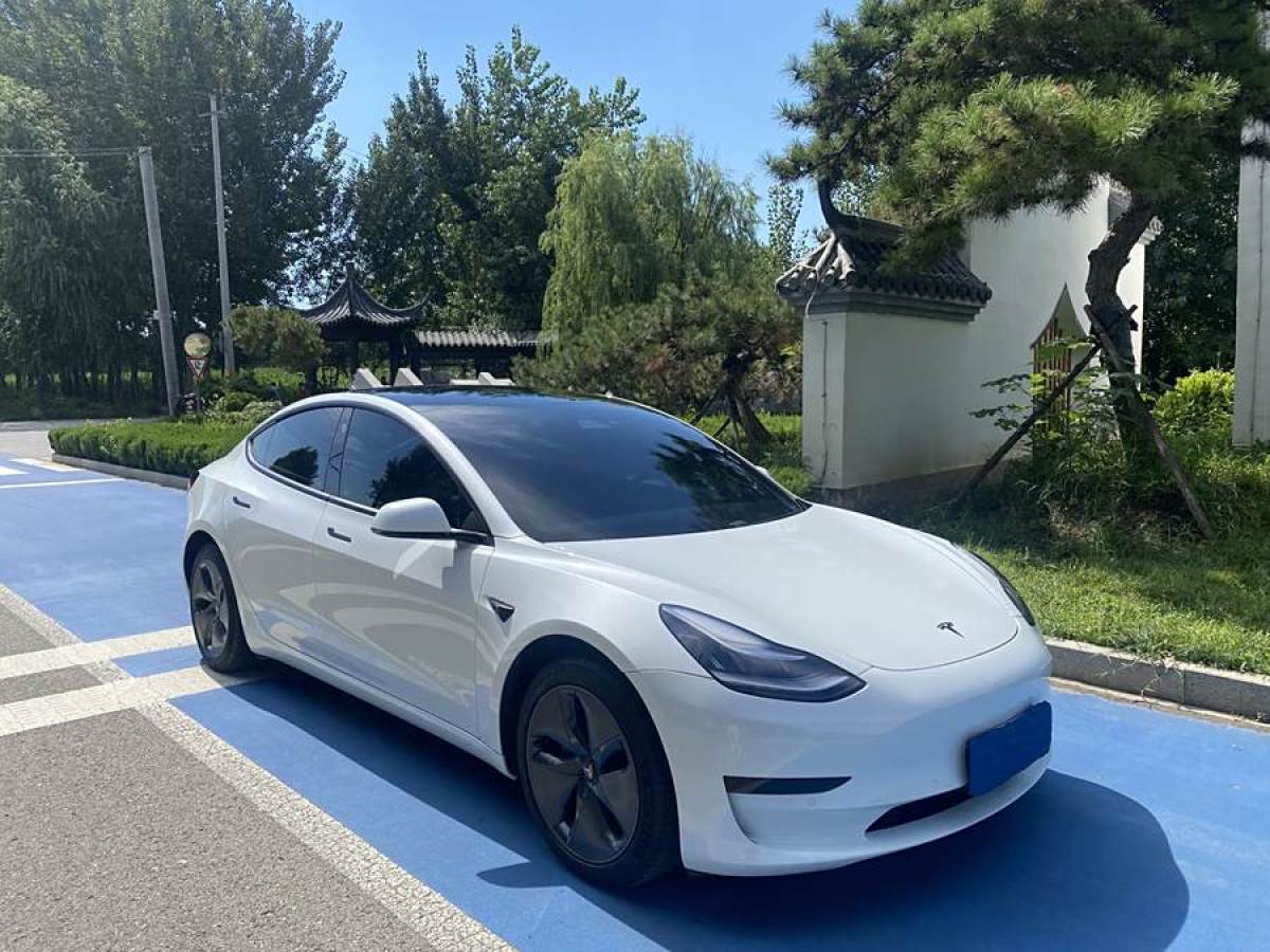 特斯拉 Model 3  2020款 改款 標(biāo)準(zhǔn)續(xù)航后驅(qū)升級(jí)版圖片