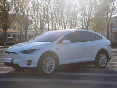 2020年5月 特斯拉 Model X 长续航版图片