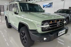 坦克300 坦克 2.0T 坦克游俠