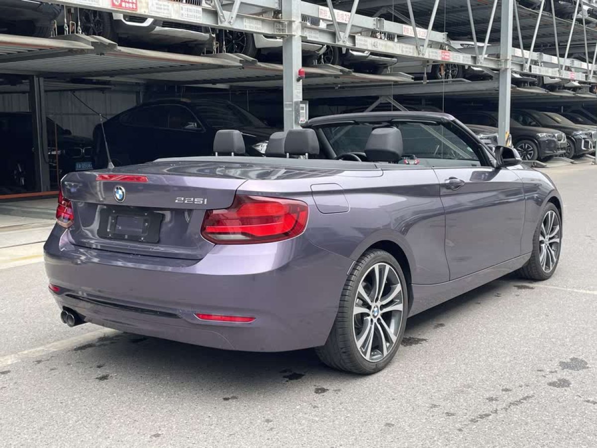 寶馬 寶馬2系  2019款  225i 敞篷轎跑車 運動設(shè)計套裝圖片