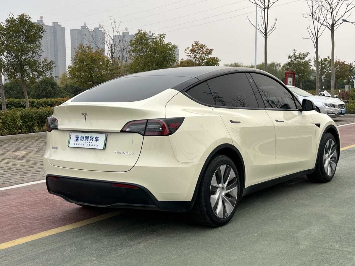 特斯拉 Model 3  2020款 改款 長續(xù)航后輪驅(qū)動(dòng)版圖片