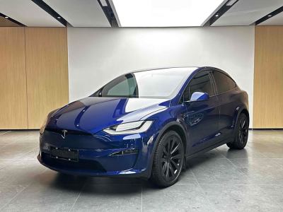 2023年9月 特斯拉 Model X 雙電機(jī)全輪驅(qū)動(dòng)版圖片