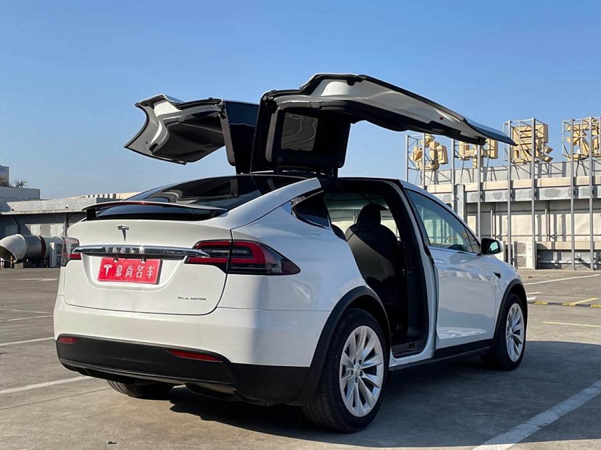 特斯拉 Model X  2019款 長續(xù)航版圖片