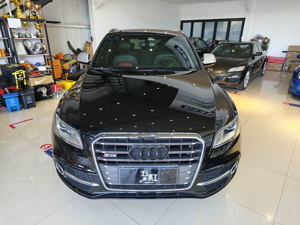 奧迪 奧迪SQ5  2014款 SQ5 3.0 TFSI quattro圖片