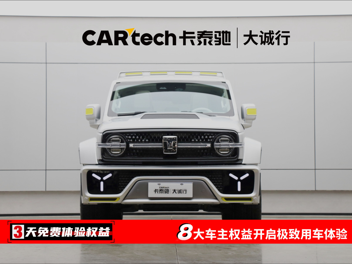 坦克 坦克300共创  2021款 2.0T 赛博坦克图片