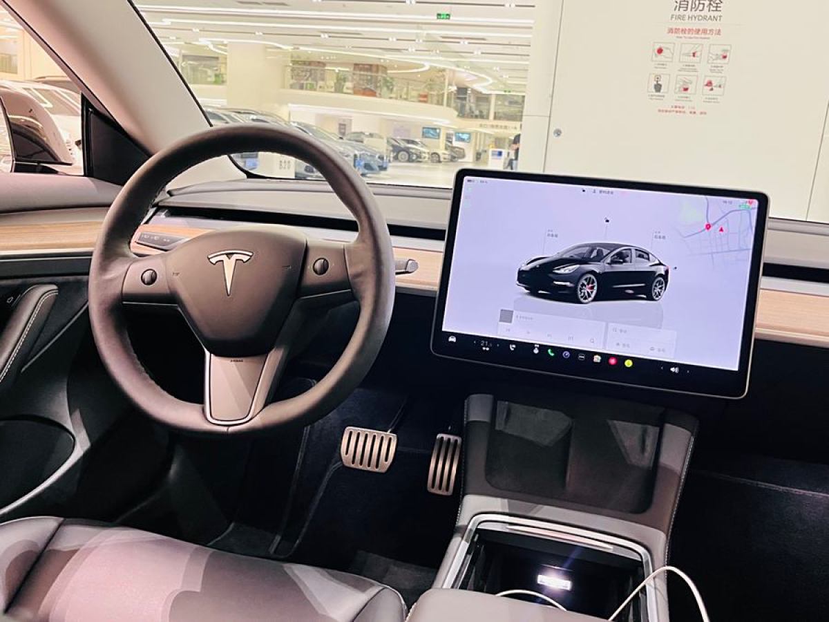 特斯拉 Model 3  2022款 Performance高性能全輪驅(qū)動版圖片