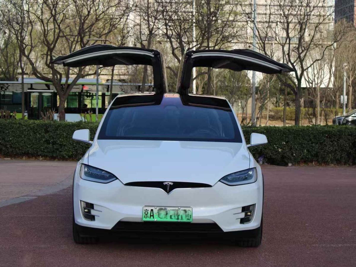 特斯拉 Model S  2017款 Model S 100D圖片
