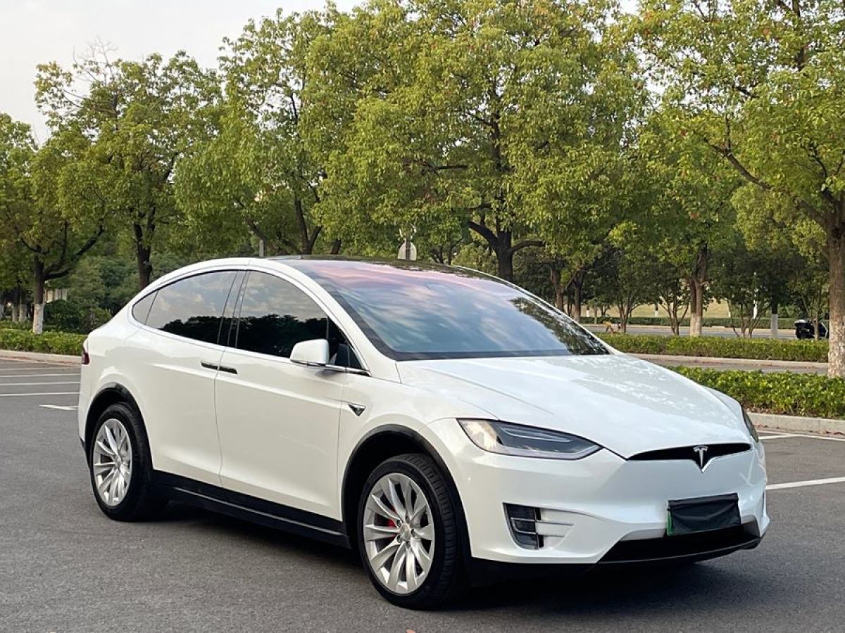 特斯拉 Model X  2017款 Model X 100D 長續(xù)航版圖片