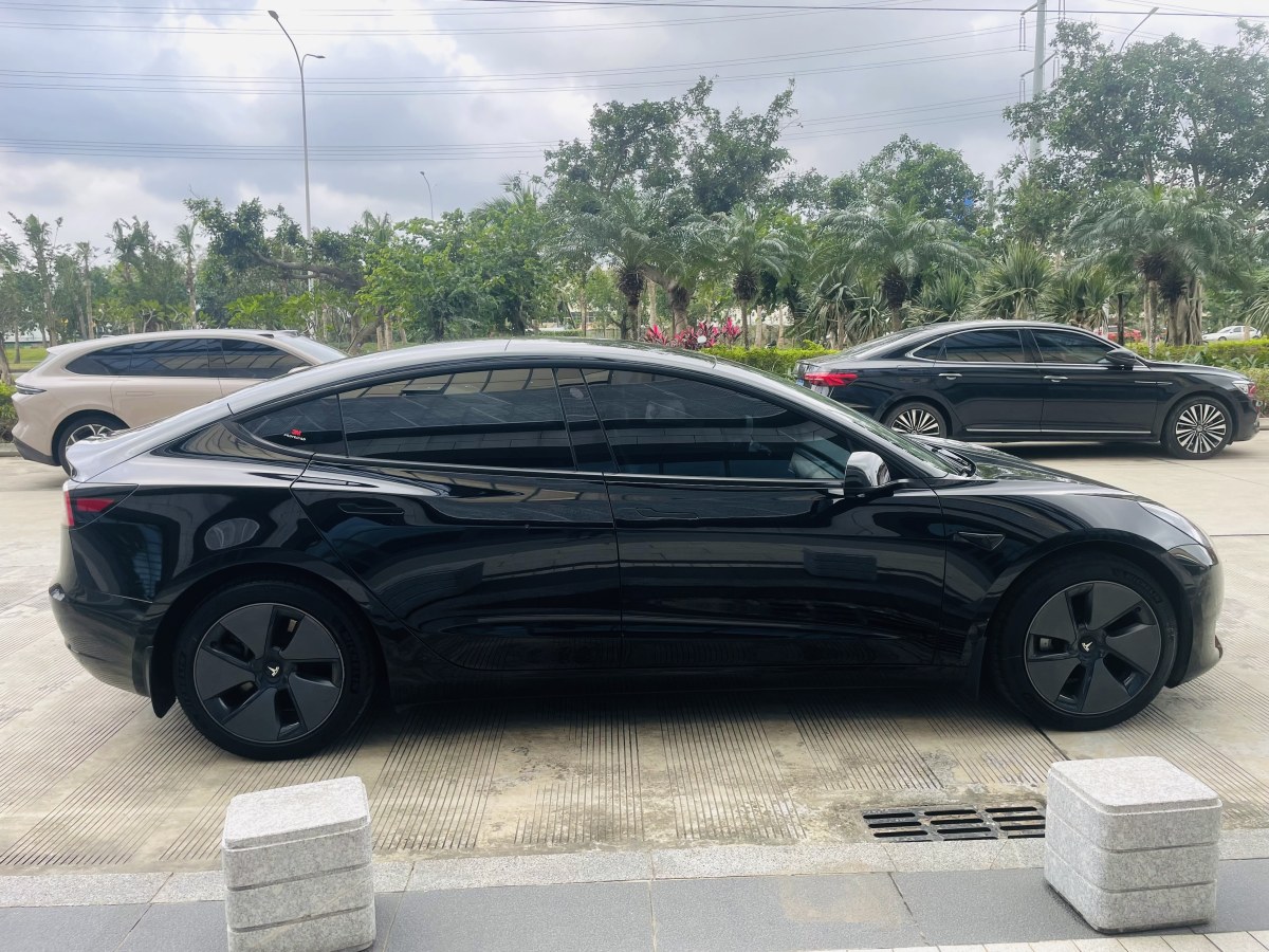 特斯拉 Model 3  2019款 標(biāo)準(zhǔn)續(xù)航后驅(qū)升級(jí)版圖片