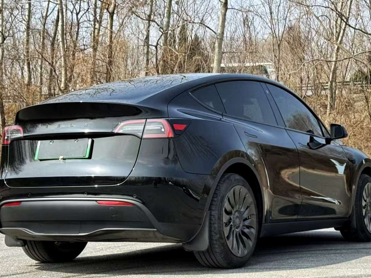 特斯拉 Model Y  2022款 長續(xù)航全輪驅(qū)動(dòng)版圖片