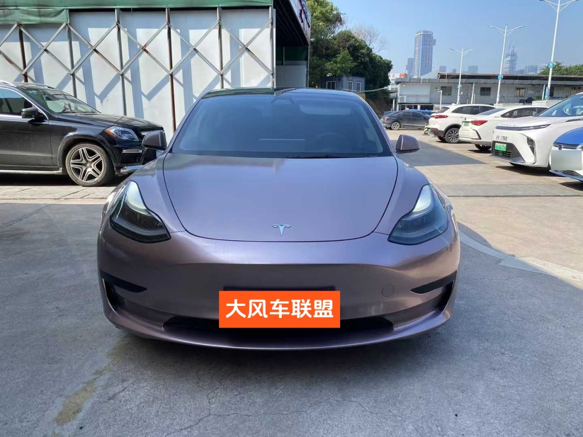 特斯拉 Model 3  2019款 標(biāo)準(zhǔn)續(xù)航后驅(qū)升級(jí)版圖片