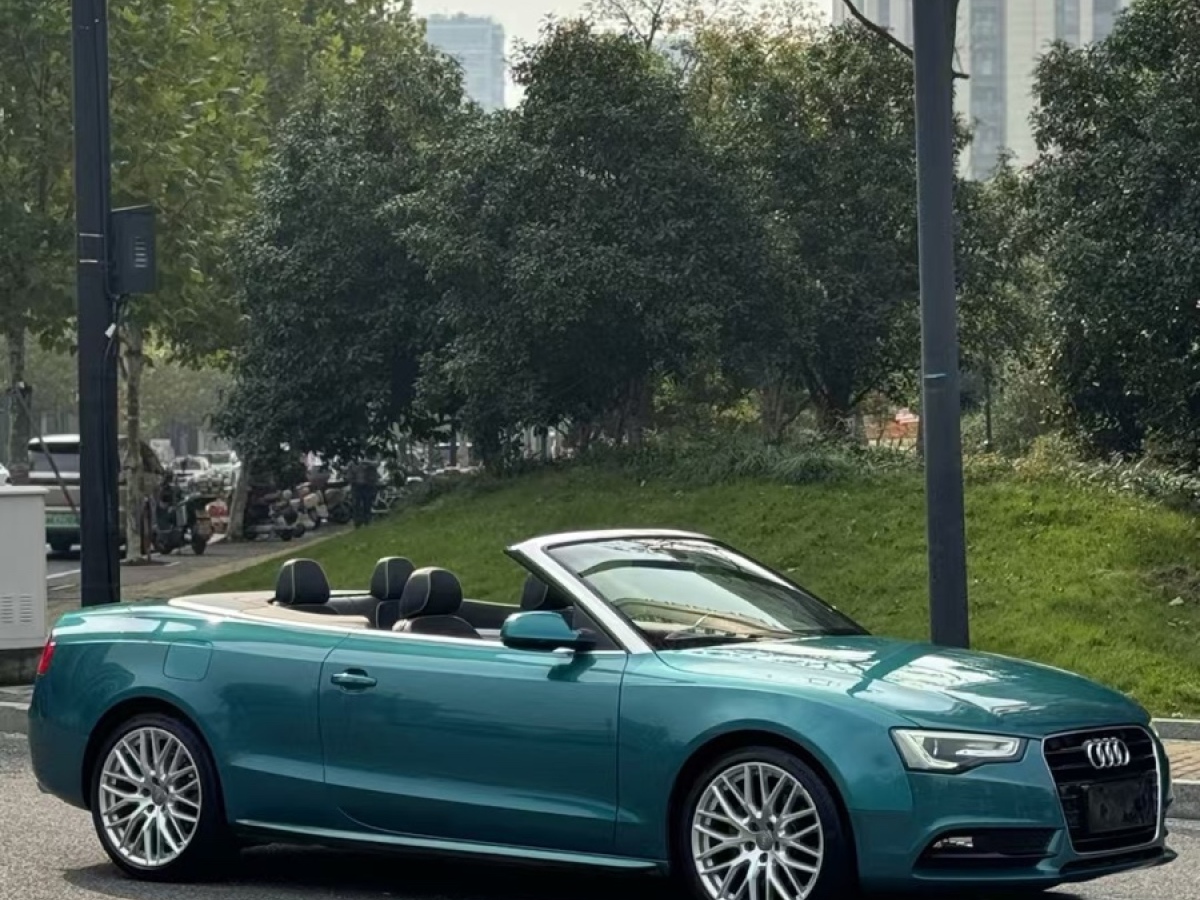 奧迪 奧迪A5  2014款 Cabriolet 45 TFSI quattro風尚版圖片