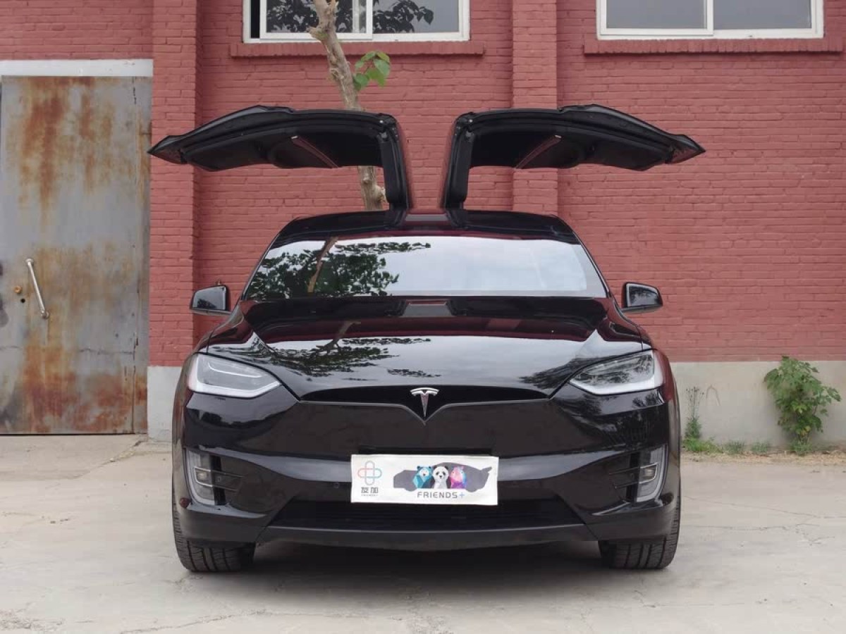 特斯拉 Model X  2016款 Model X 75D圖片