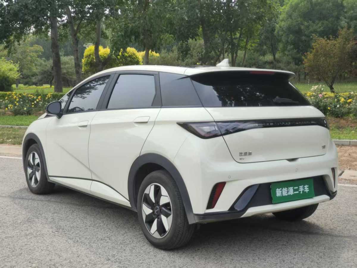 比亞迪 海豚  2024款 榮耀版 420km 自由版圖片