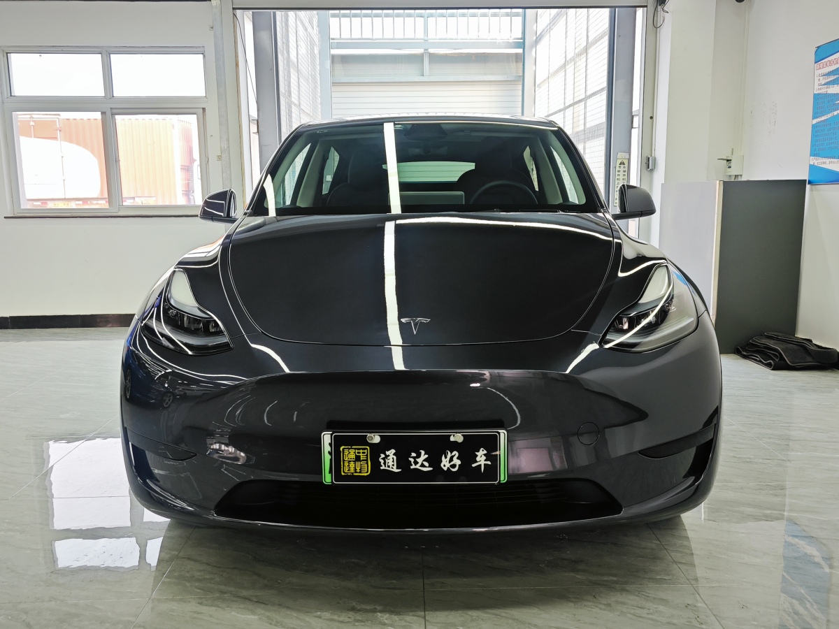 特斯拉 Model Y  2020款 改款 長續(xù)航后輪驅(qū)動(dòng)版圖片