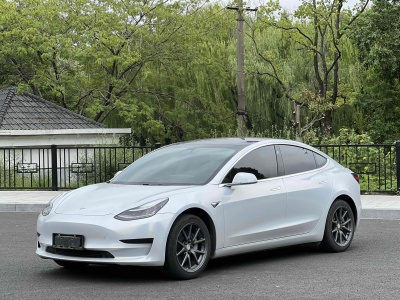 2020年4月 特斯拉 Model 3 标准续航后驱升级版图片