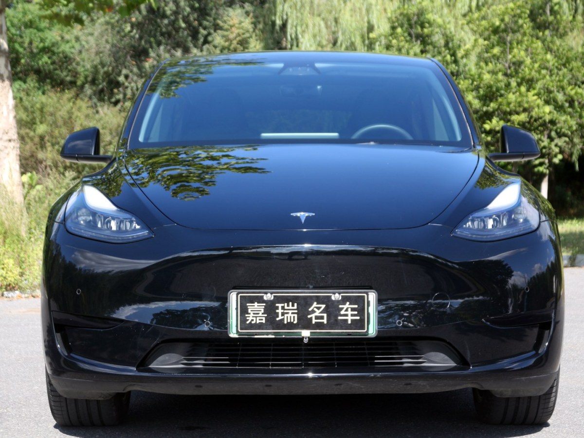 特斯拉 Model Y  2020款 Performance高性能全輪驅(qū)動版圖片