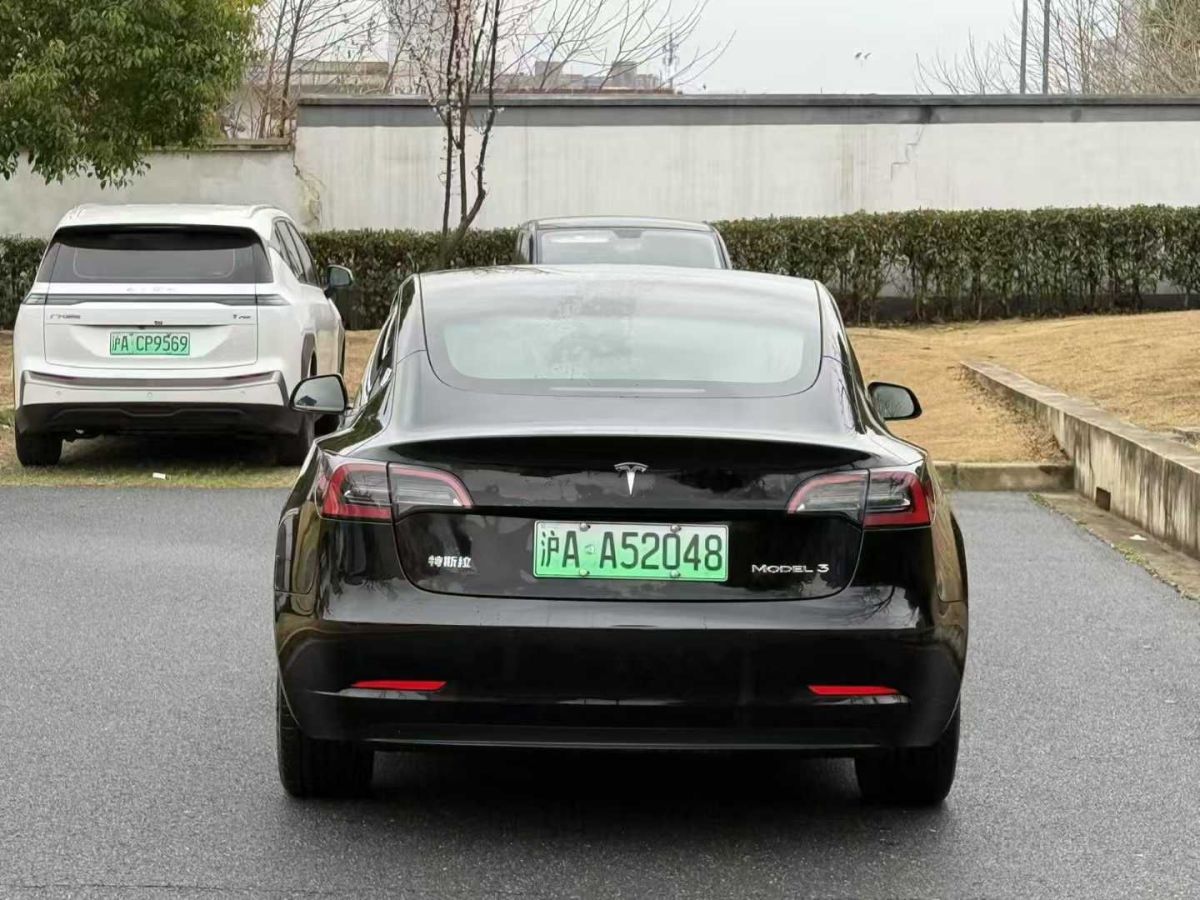 特斯拉 Model 3  2022款 Performance高性能全輪驅(qū)動版圖片