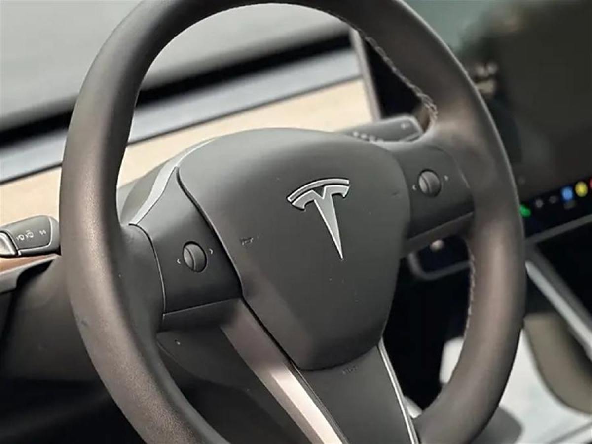 特斯拉 Model 3  2019款 標(biāo)準(zhǔn)續(xù)航后驅(qū)升級版圖片