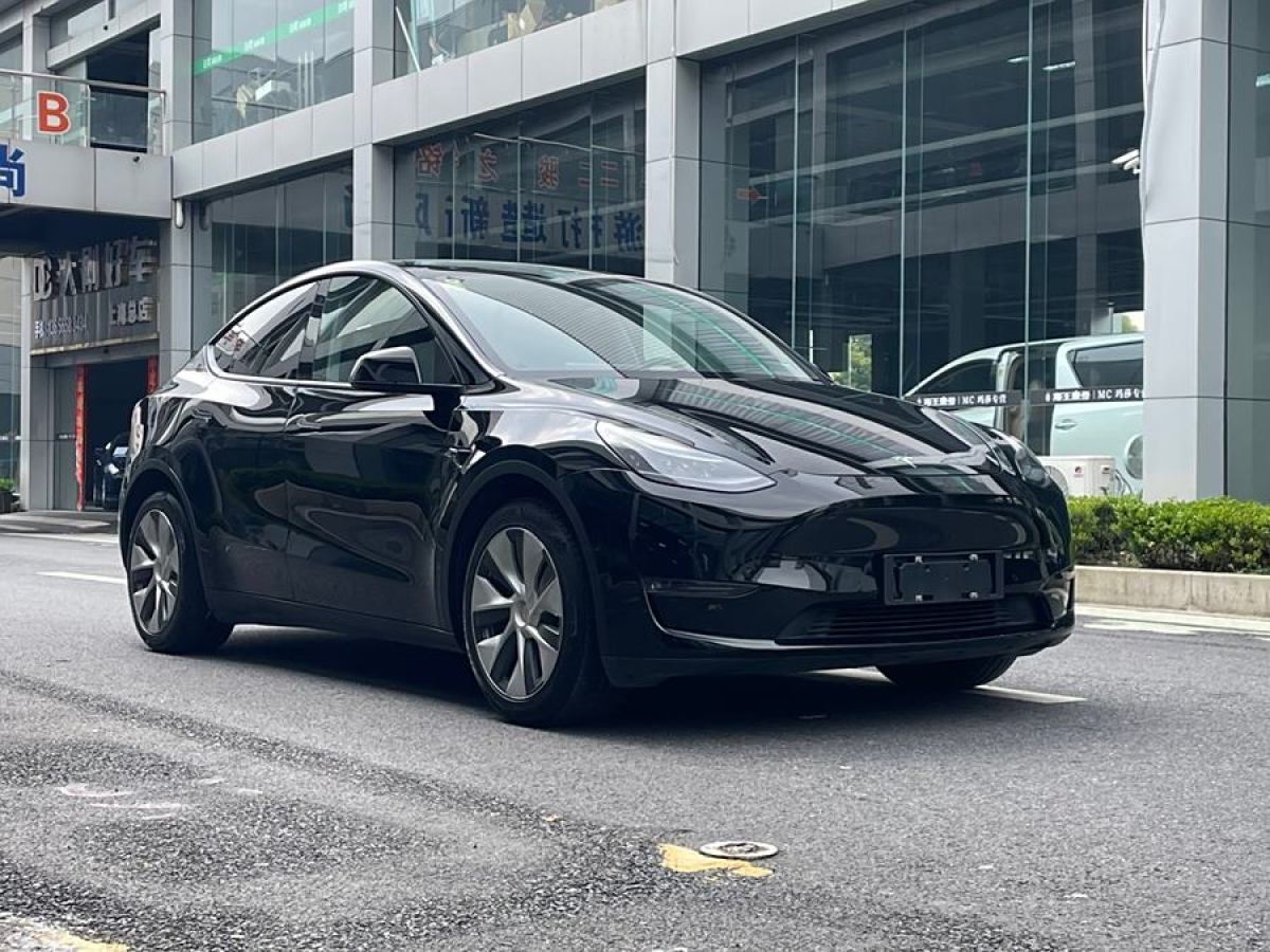 特斯拉 Model Y  2021款 改款 長(zhǎng)續(xù)航全輪驅(qū)動(dòng)版圖片