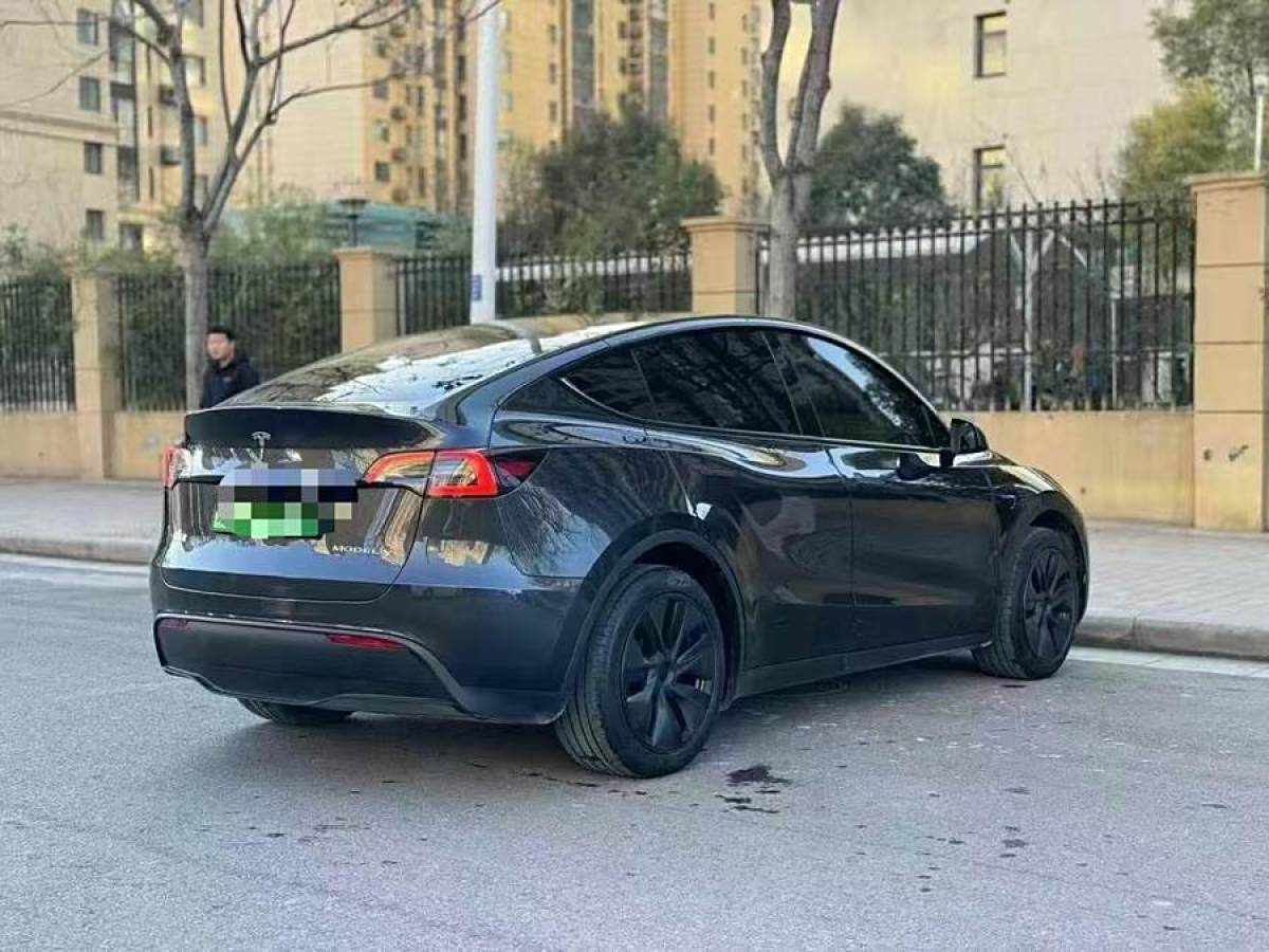 特斯拉 Model 3  2020款 改款 長(zhǎng)續(xù)航后輪驅(qū)動(dòng)版圖片