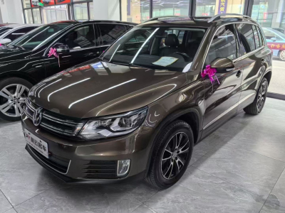 2016年5月 大眾 途觀 300TSI 自動兩驅(qū)豪華版圖片