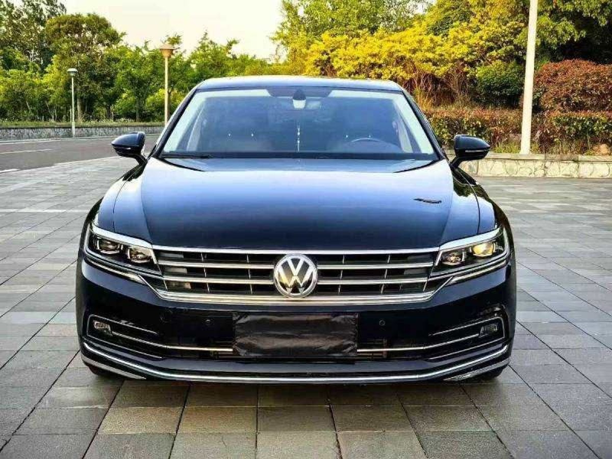 大眾 輝昂  2019款  380TSI 兩驅(qū)商務(wù)版 國(guó)V圖片