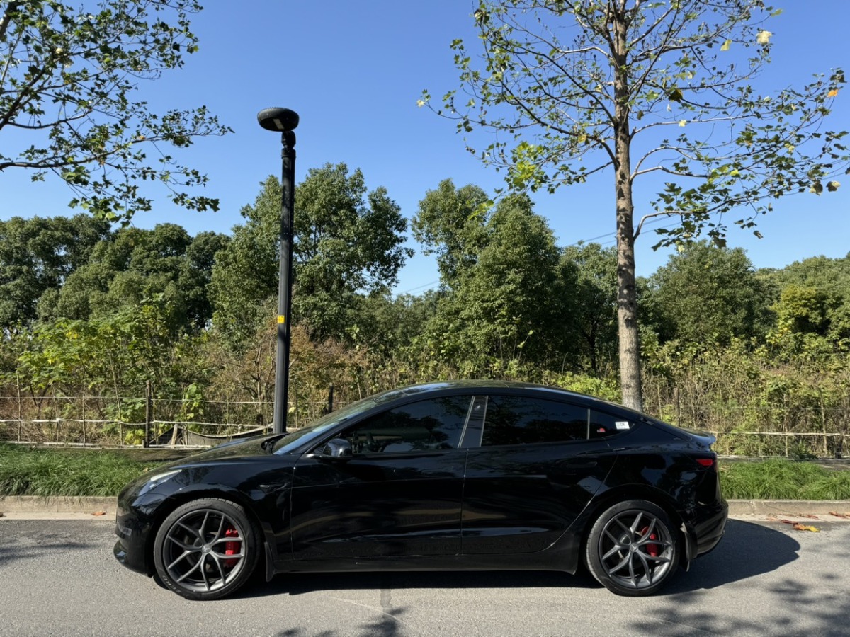 特斯拉 Model Y  2021款 Performance高性能全輪驅(qū)動(dòng)版圖片