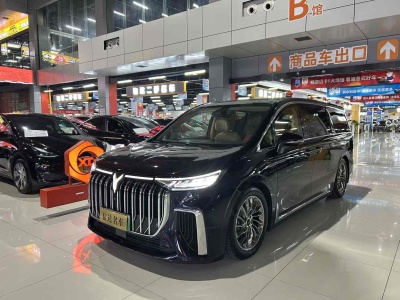 2023年10月 嵐圖 夢(mèng)想家 PHEV 超長(zhǎng)續(xù)航旗艦版圖片