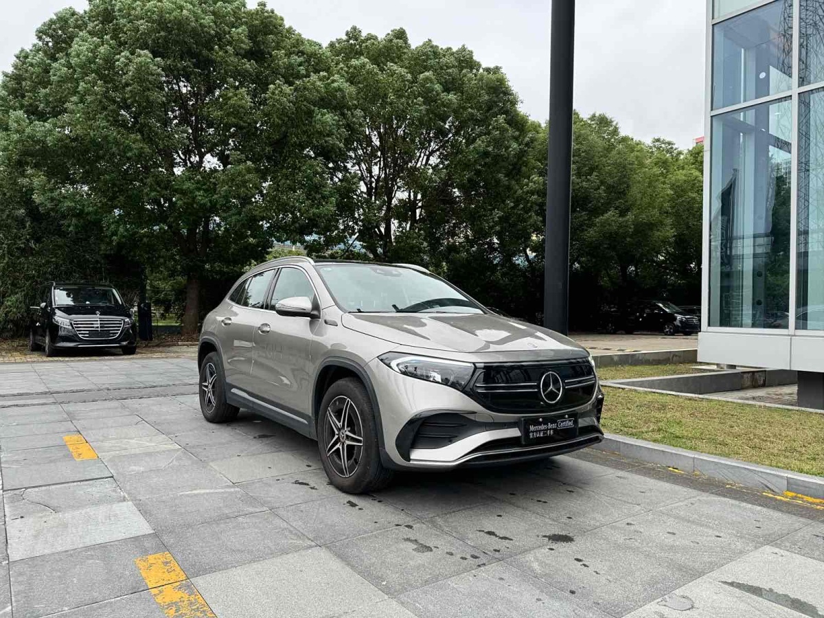 2022年1月奔馳 奔馳EQA  2022款 EQA 300 4MATIC 首發(fā)特別版