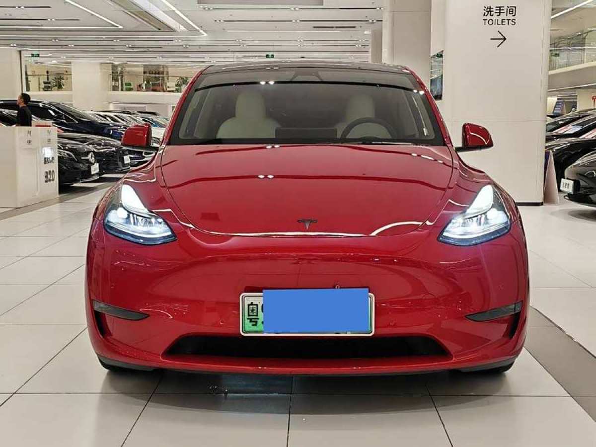 特斯拉 Model Y  2022款 Performance高性能全輪驅(qū)動(dòng)版圖片