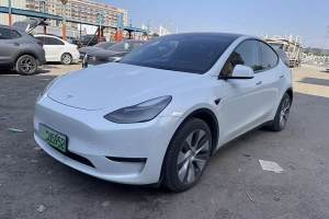 Model Y 特斯拉 改款 长续航全轮驱动版