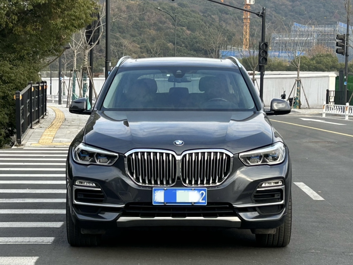 寶馬 寶馬X5  2019款 xDrive30i X設(shè)計(jì)套裝圖片