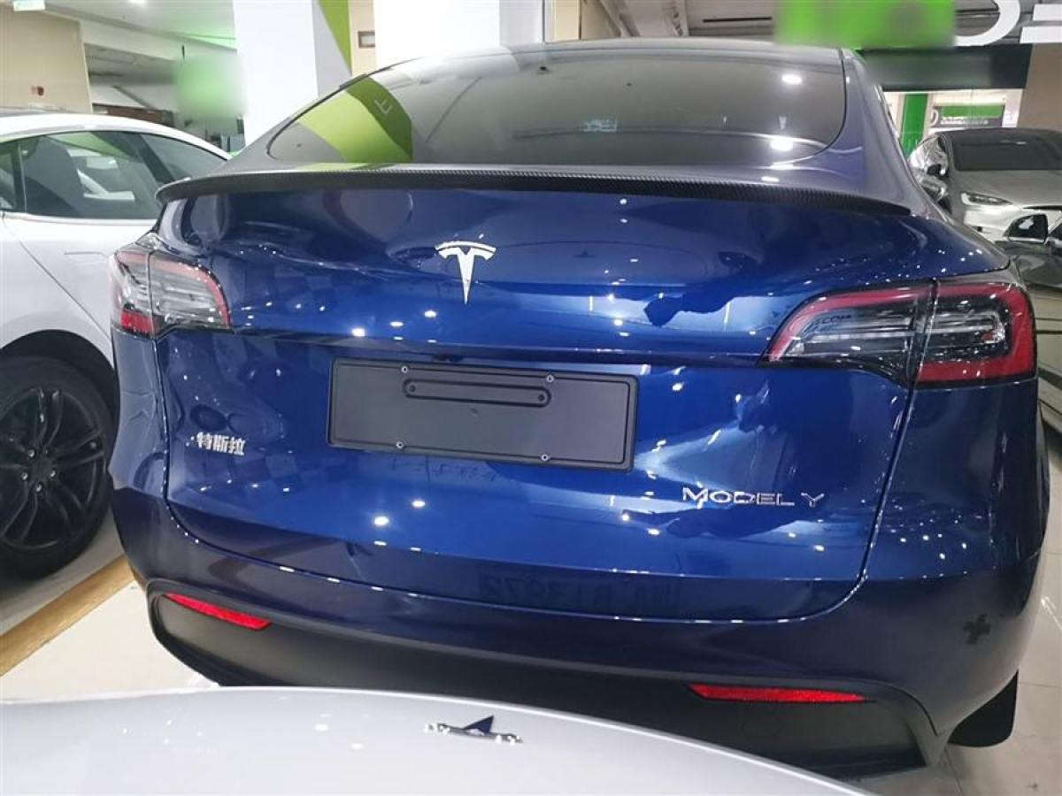 特斯拉 Model Y  2022款 改款 長續(xù)航全輪驅(qū)動版圖片