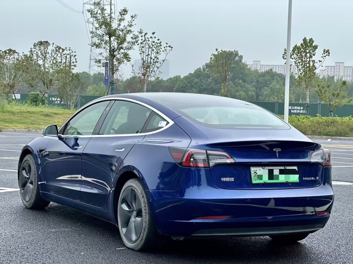 特斯拉 Model 3  2019款 標(biāo)準(zhǔn)續(xù)航后驅(qū)升級(jí)版圖片