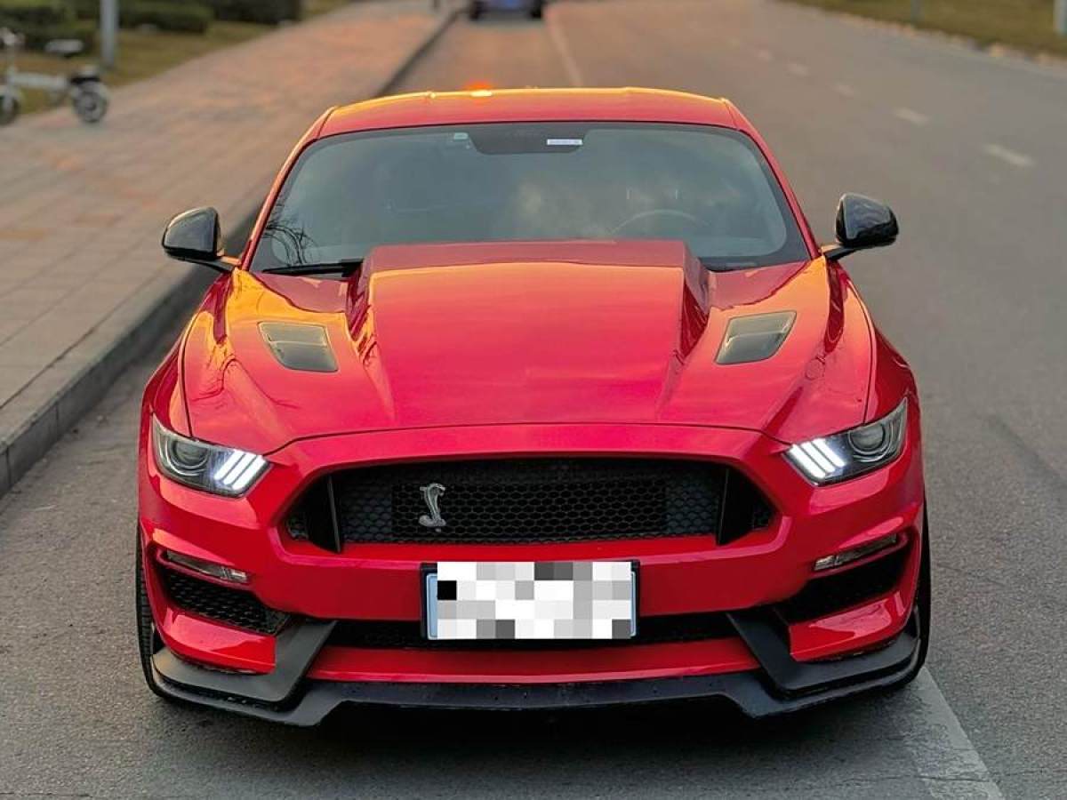 福特 Mustang  2015款 2.3T 性能版圖片