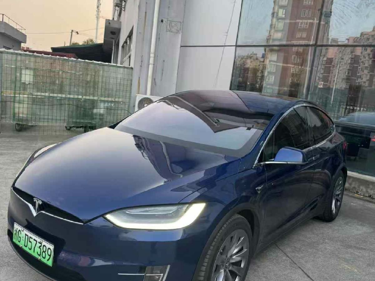 特斯拉 Model X  2020款 Performance 高性能版圖片