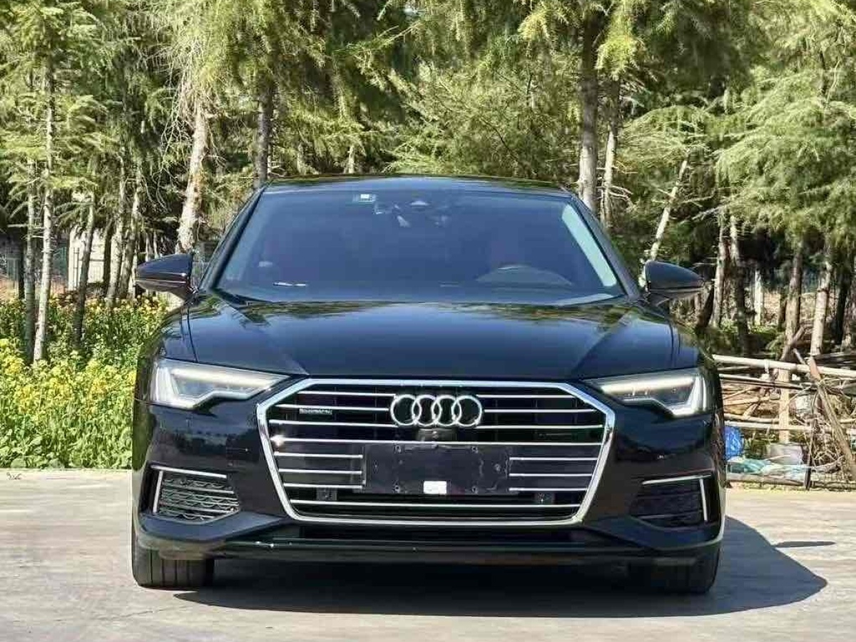 奧迪 奧迪A6L  2019款 45 TFSI quattro 臻選致雅型圖片