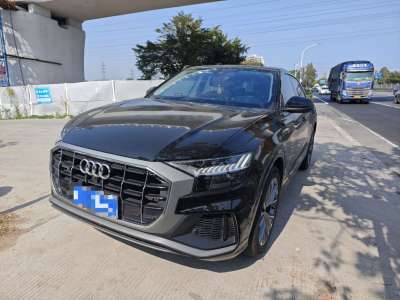 2022年8月 奧迪 奧迪Q8(進口) 55 TFSI 豪華動感型圖片