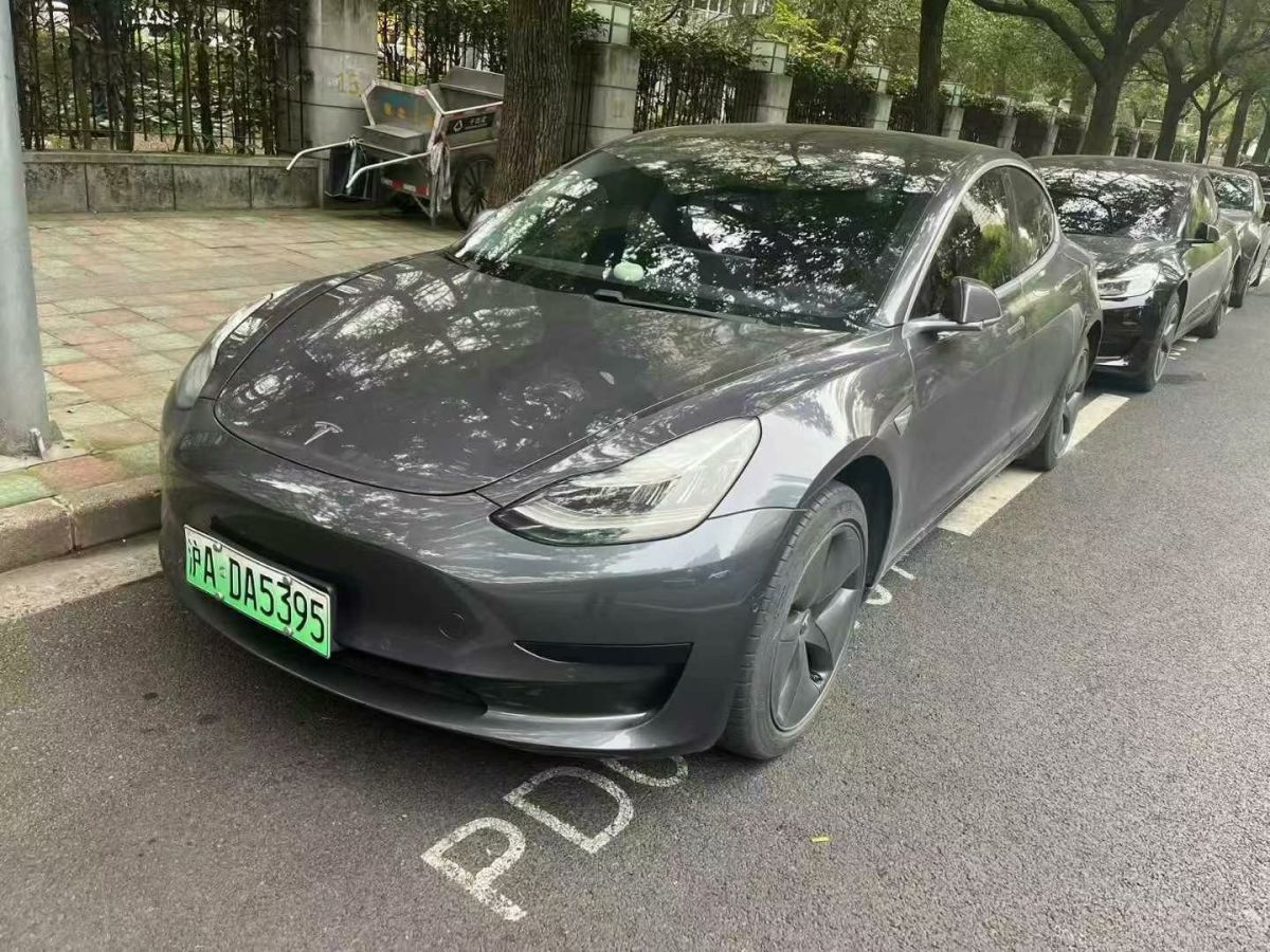 特斯拉 Model X  2020款 Performance 高性能版圖片