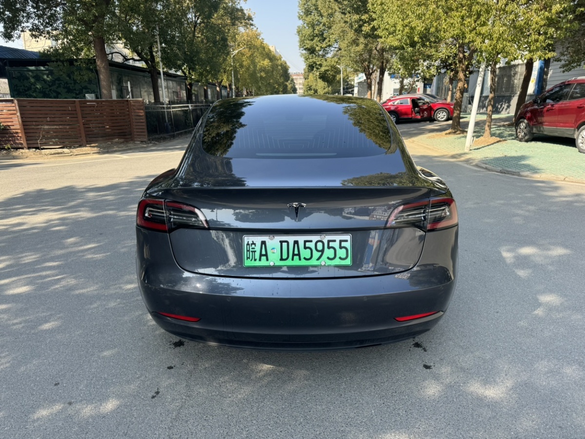 特斯拉 Model 3  2019款 長續(xù)航后驅(qū)版圖片